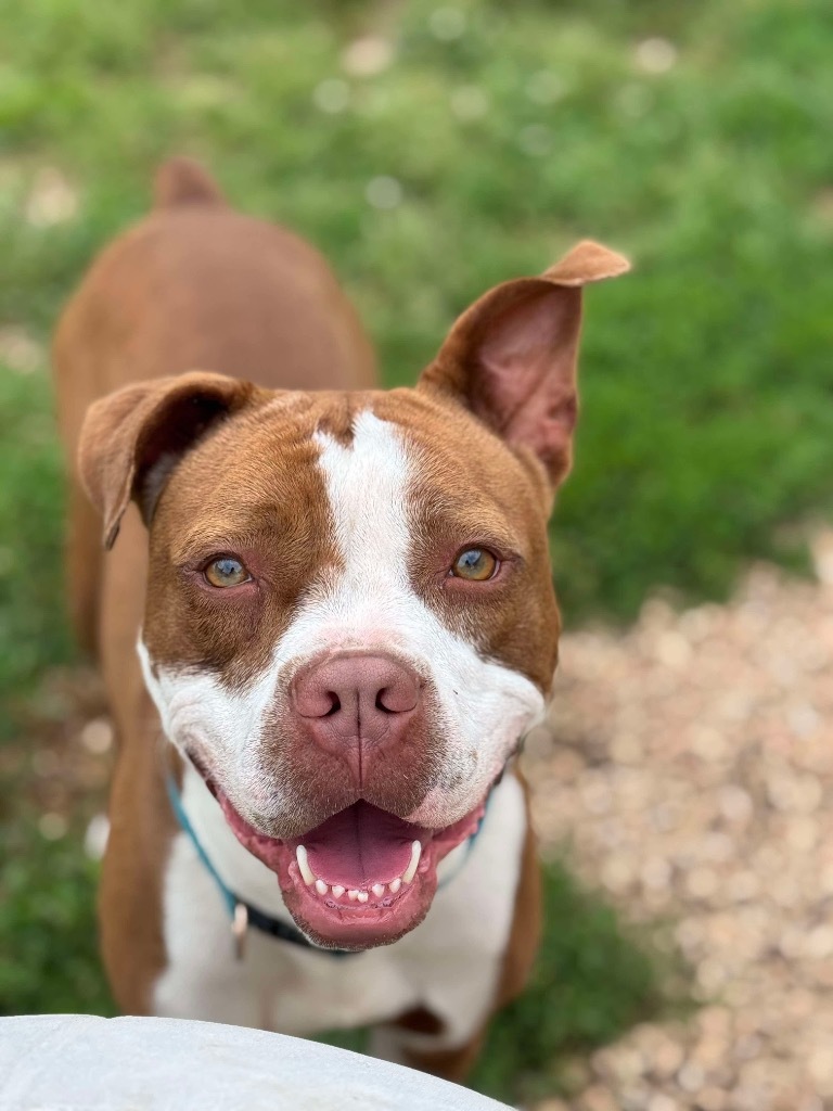 Fiona