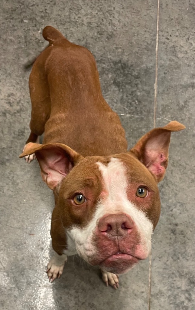 Fiona