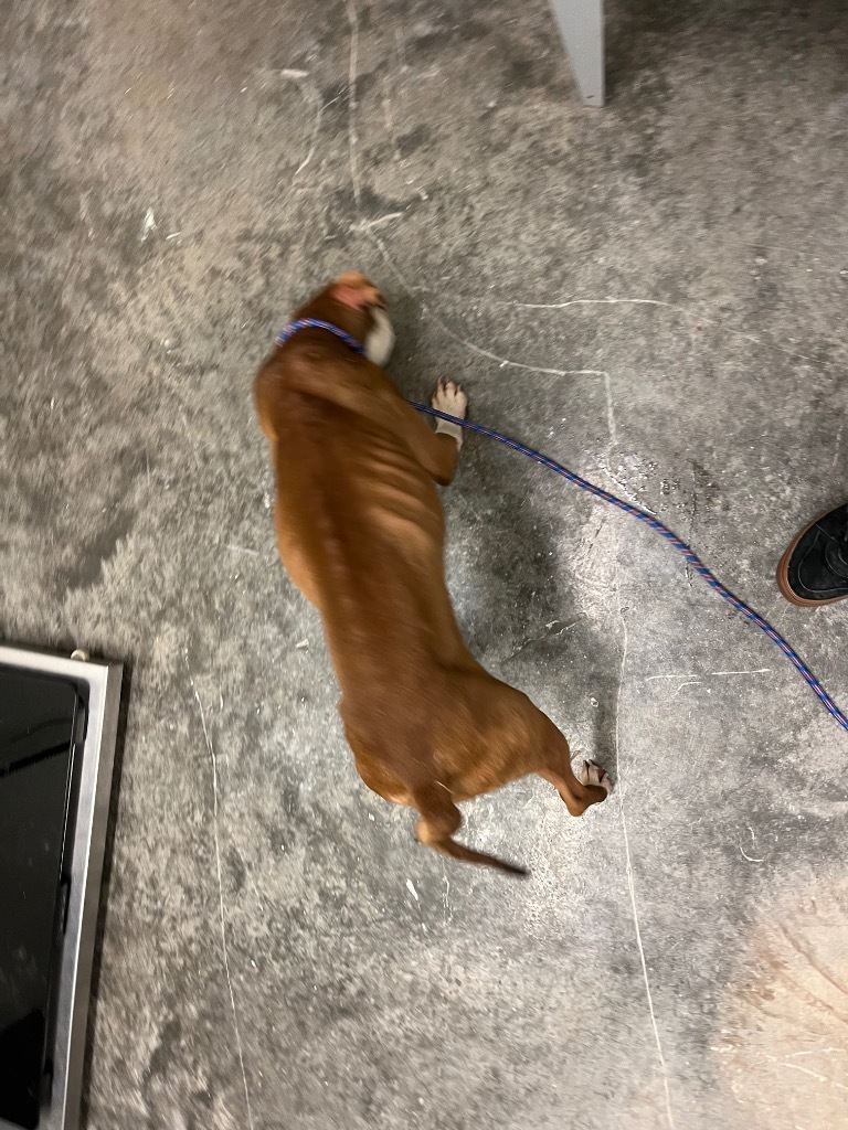 Fiona
