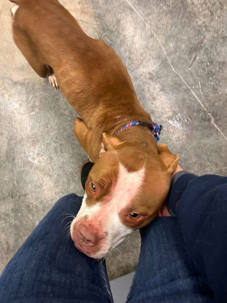 Fiona