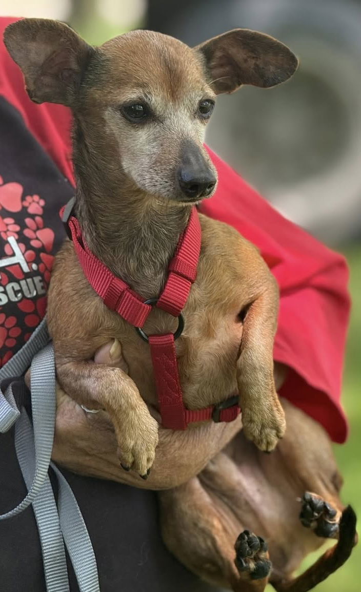 Sammy