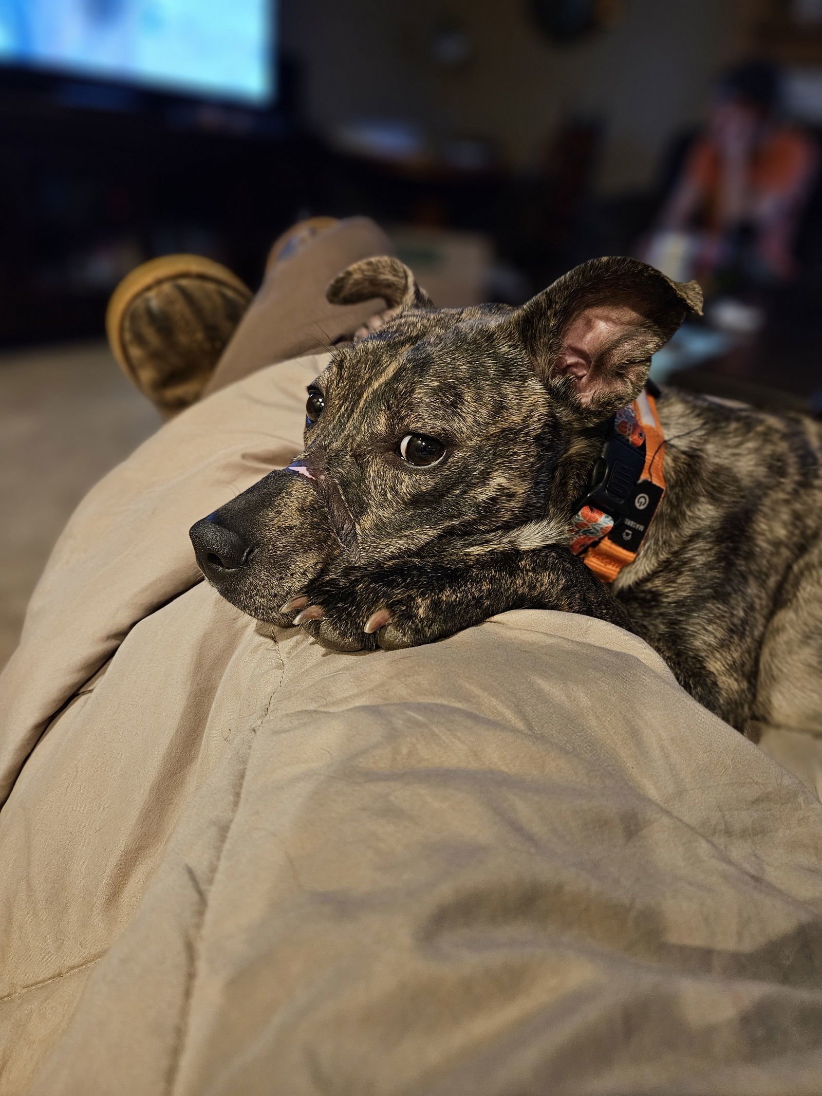Kiara