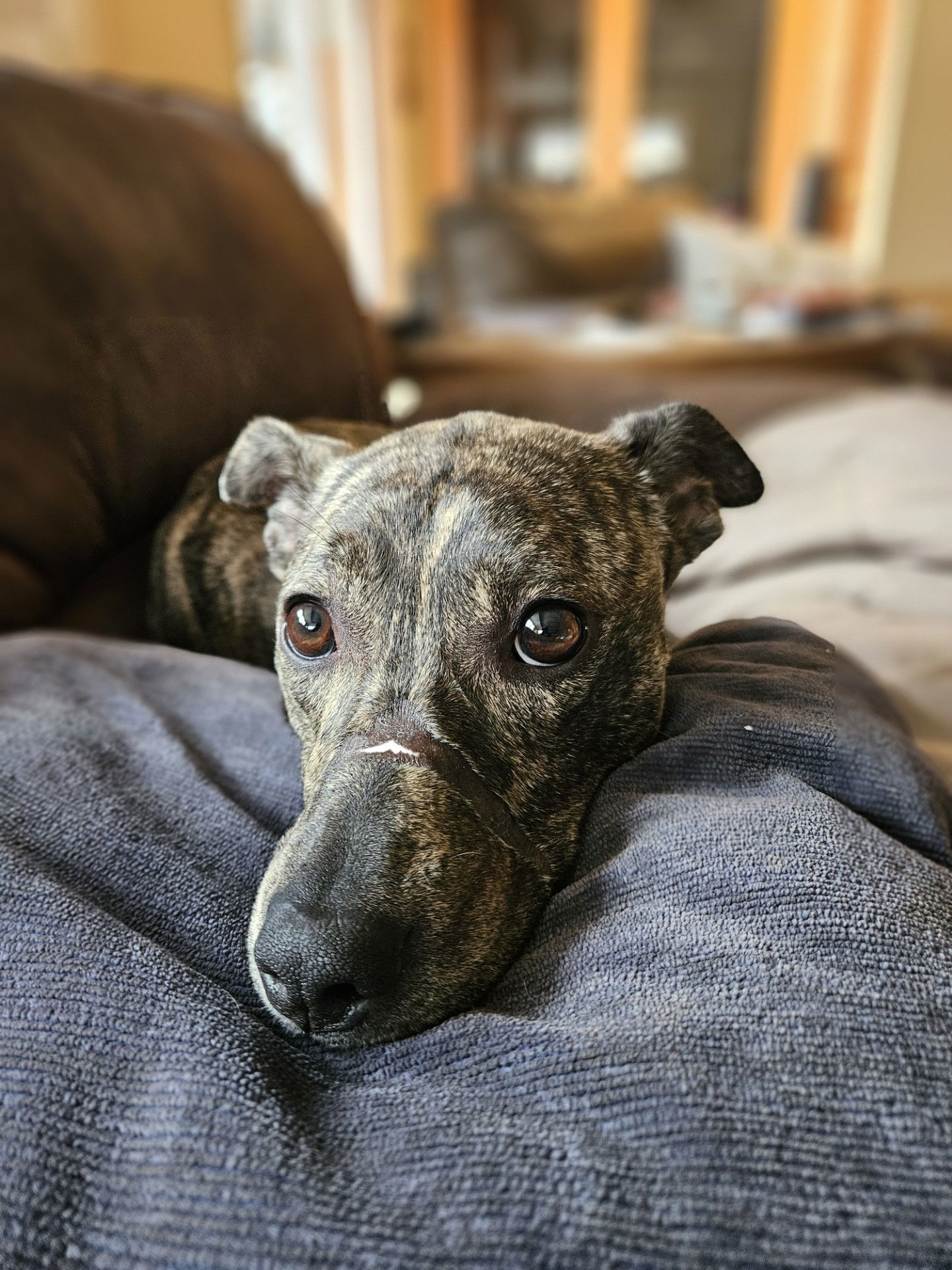 Kiara