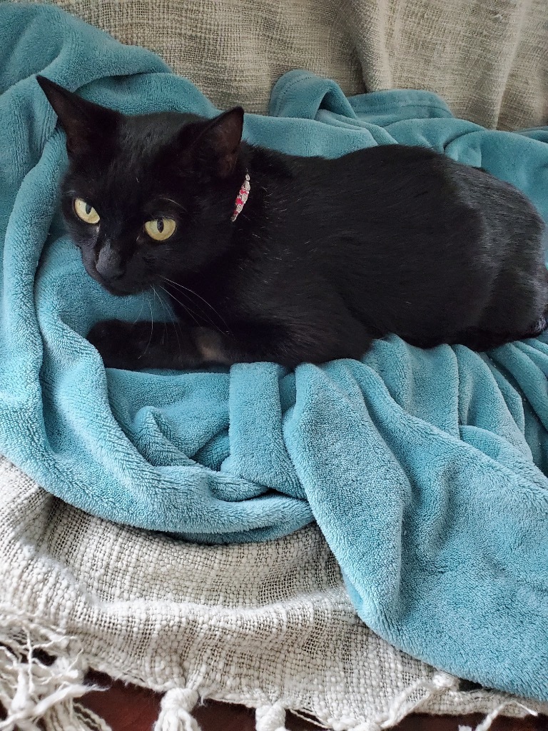 Ritzy Mitzy