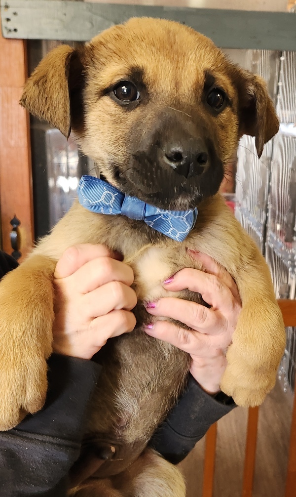 Max