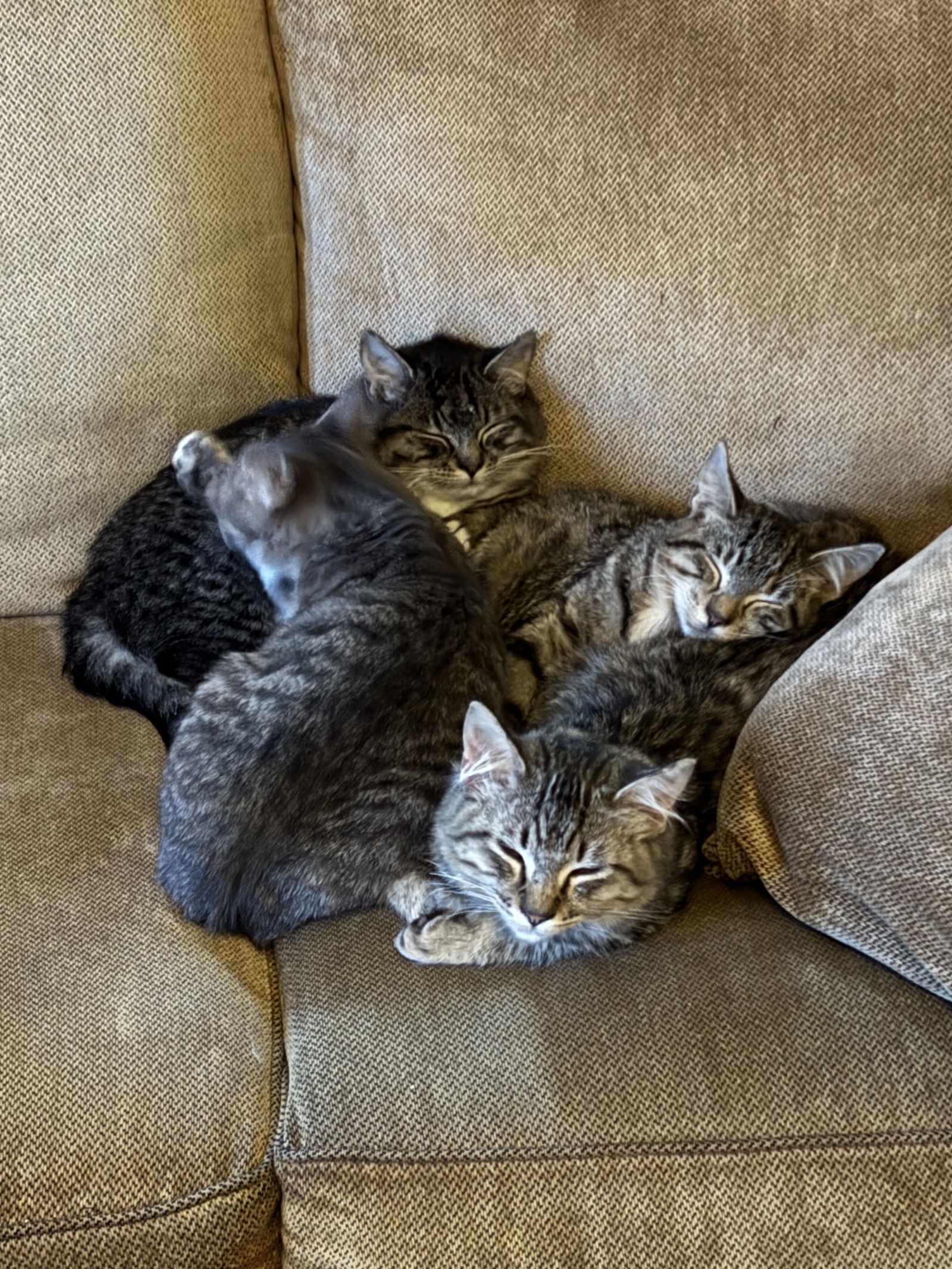 Smalls