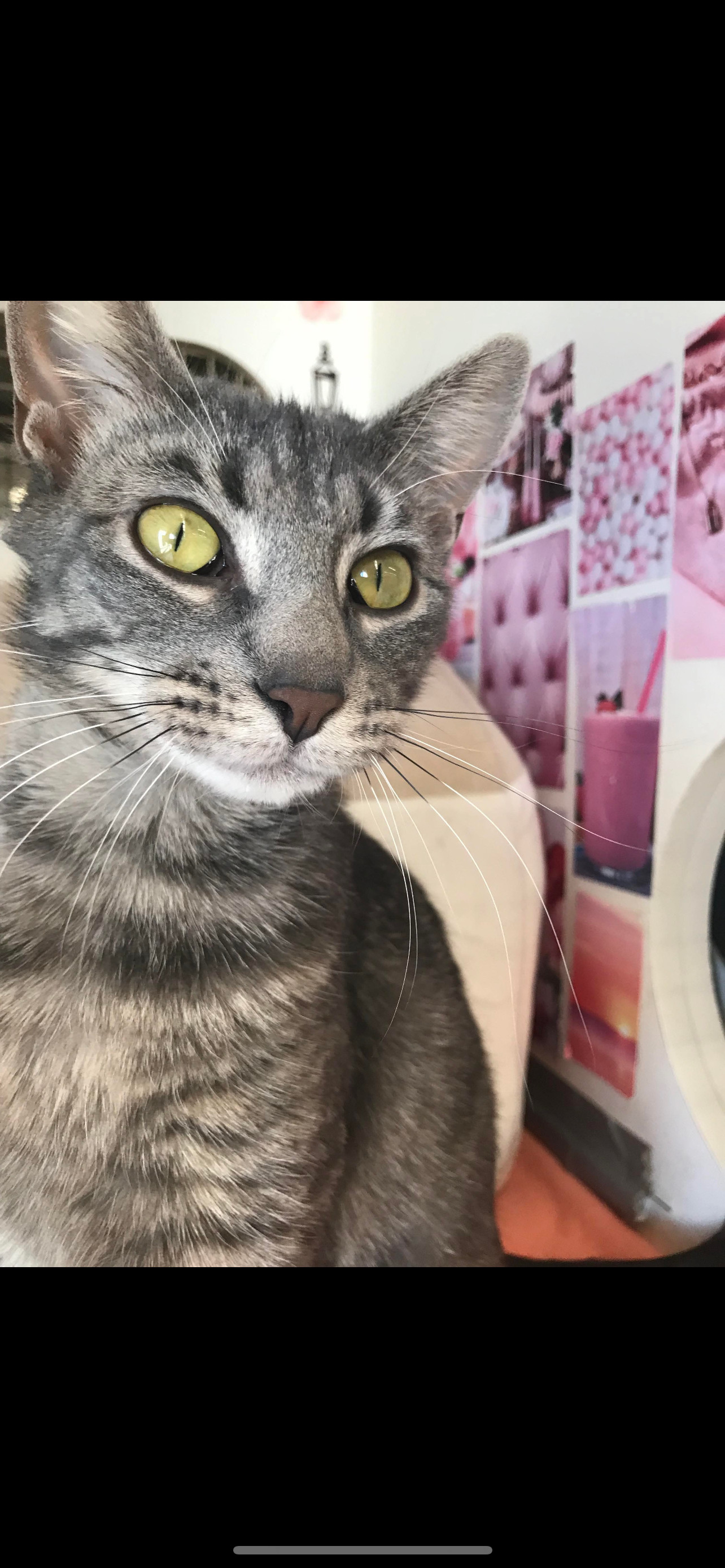 Kira