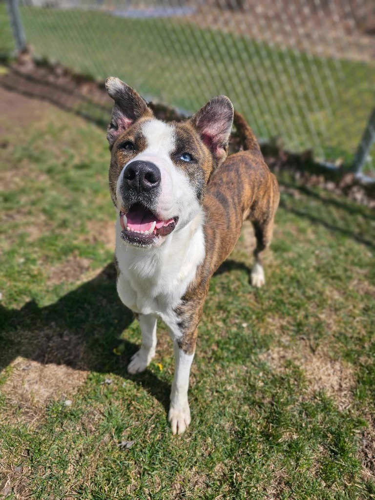Zeus