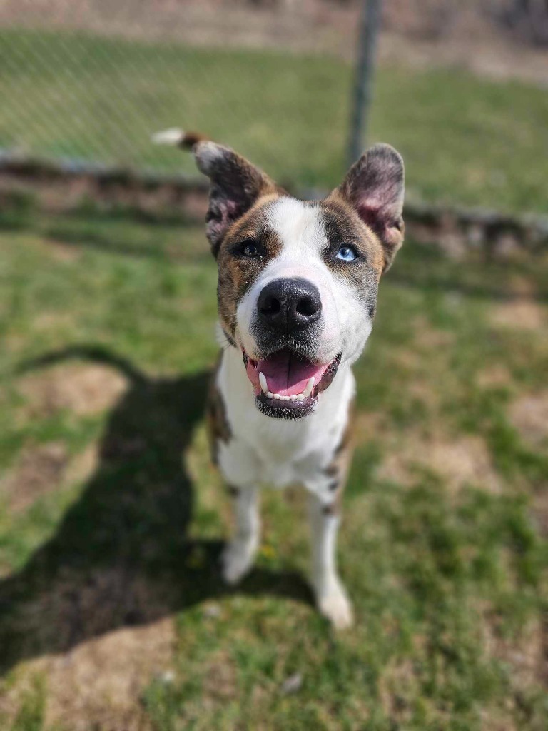 Zeus
