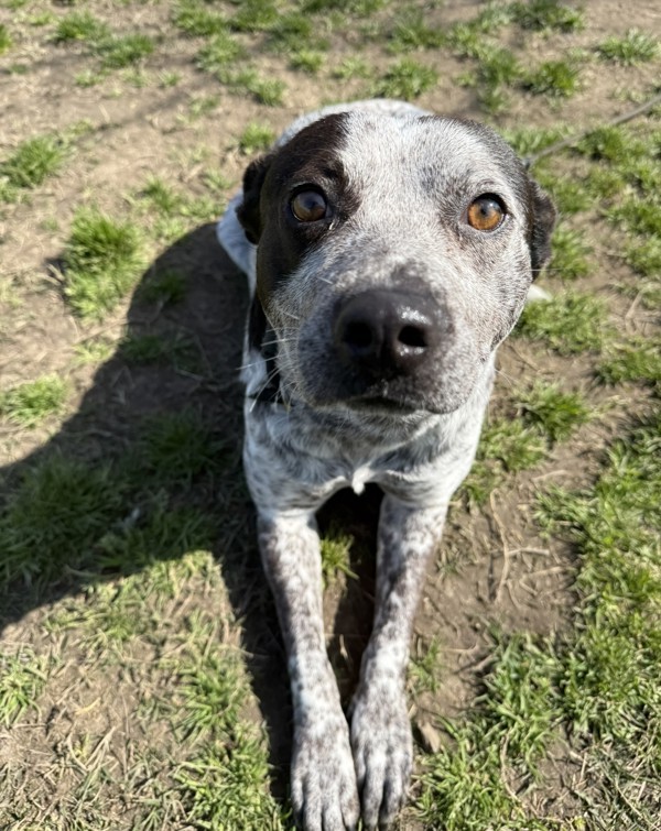 Maggie