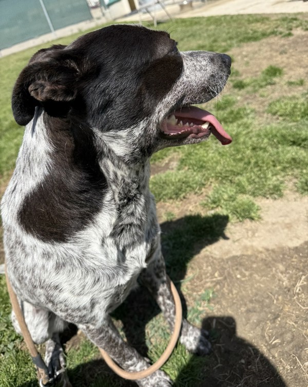 Maggie