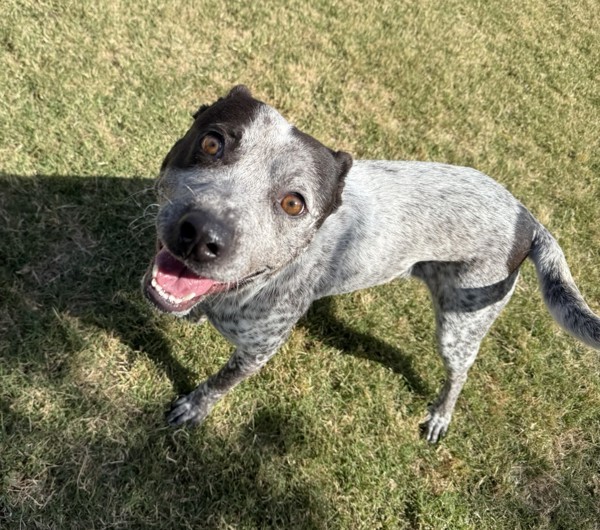 Maggie