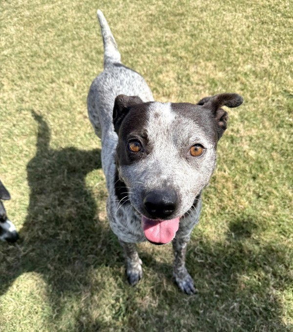 Maggie