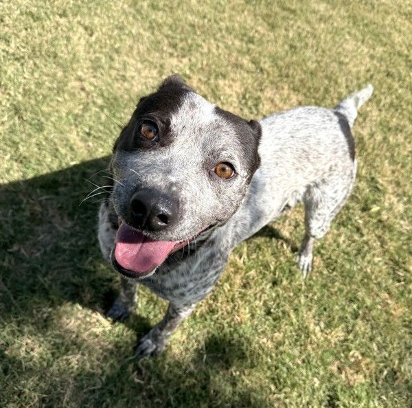 Maggie