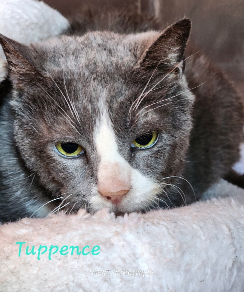 Tuppence