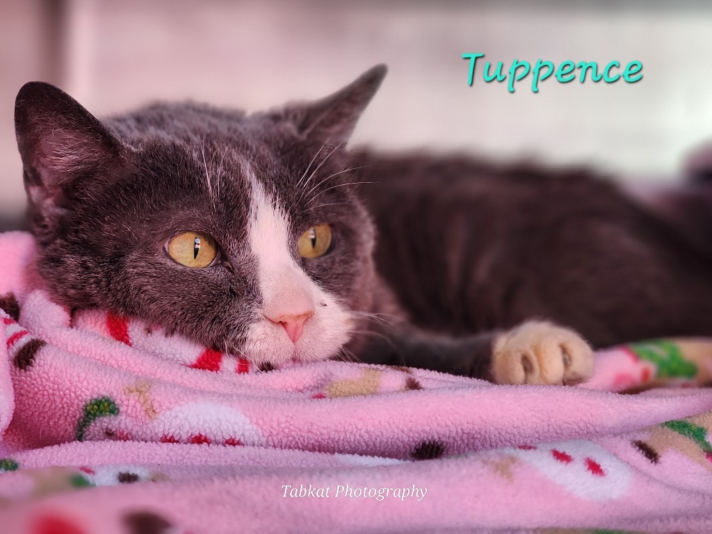 Tuppence