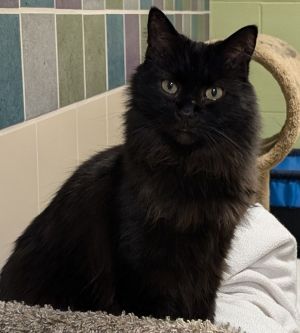 Max