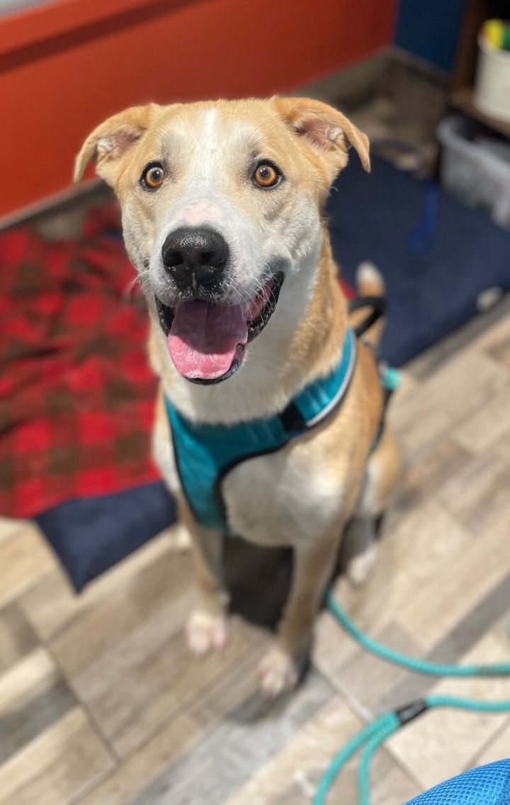 Finn 3