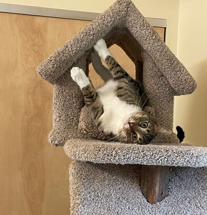 Oliver (Ollie) 1
