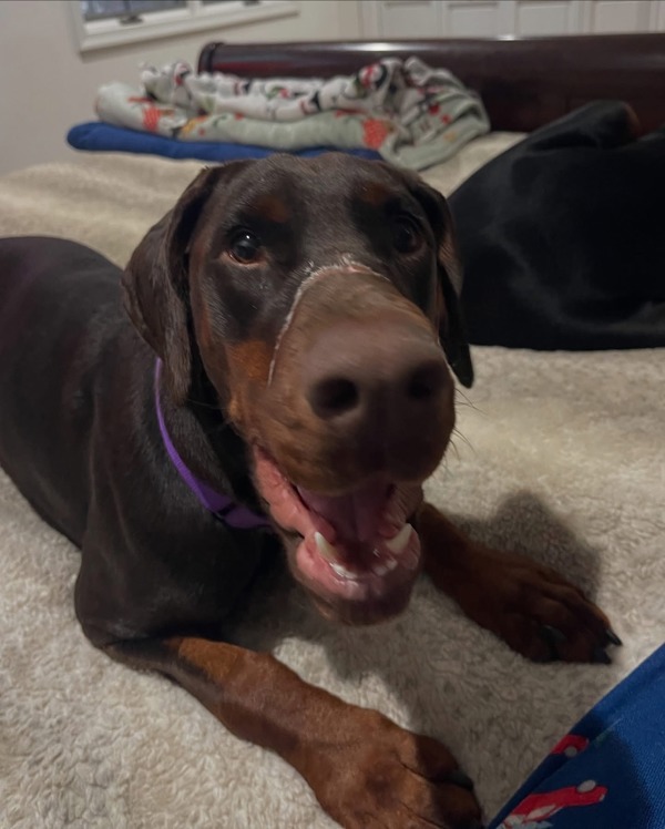 Luna