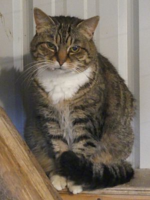 Cleopatra
