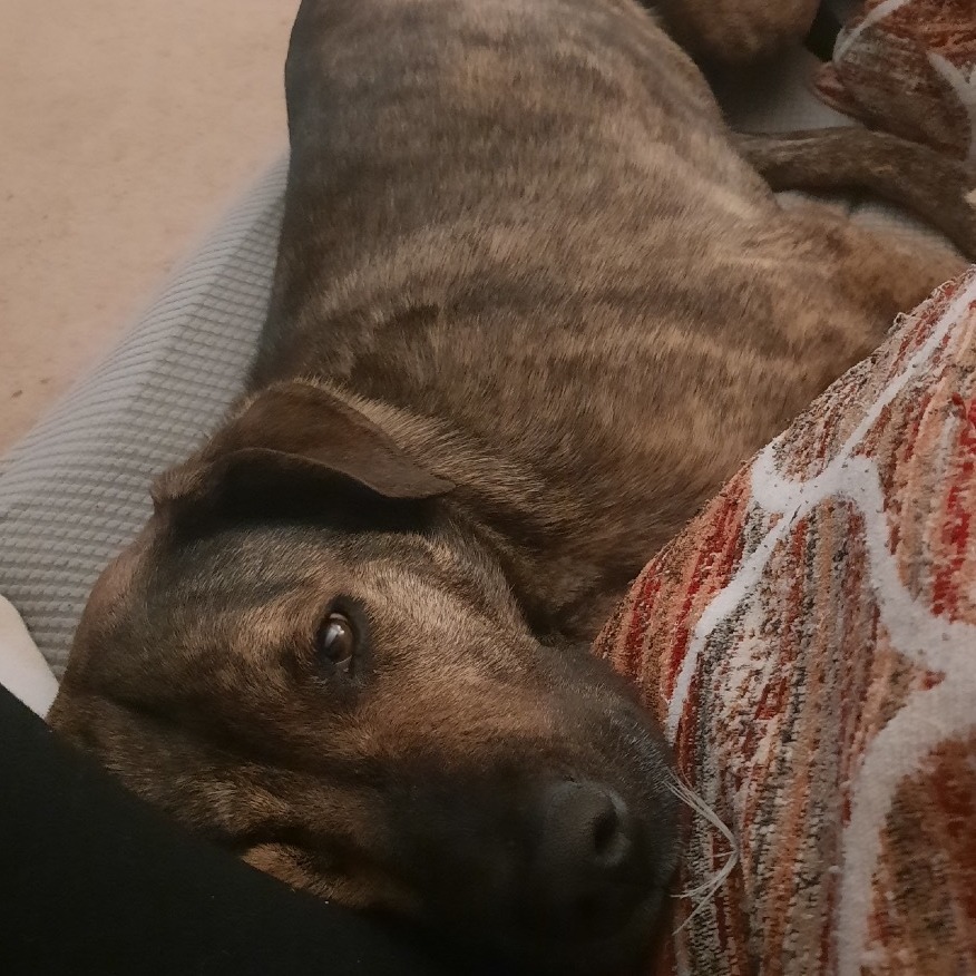 Bella