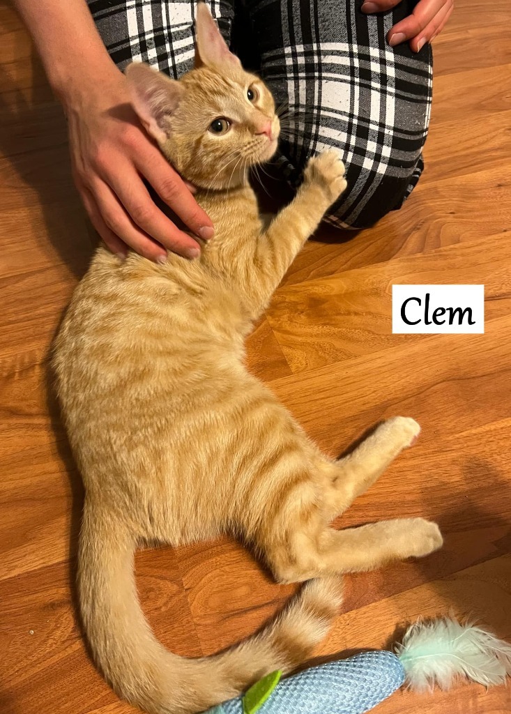 Clem