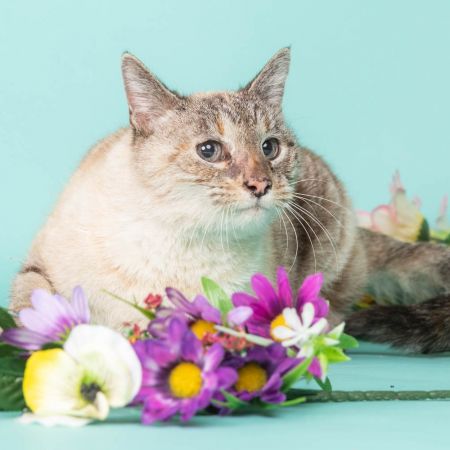Maggie photo
