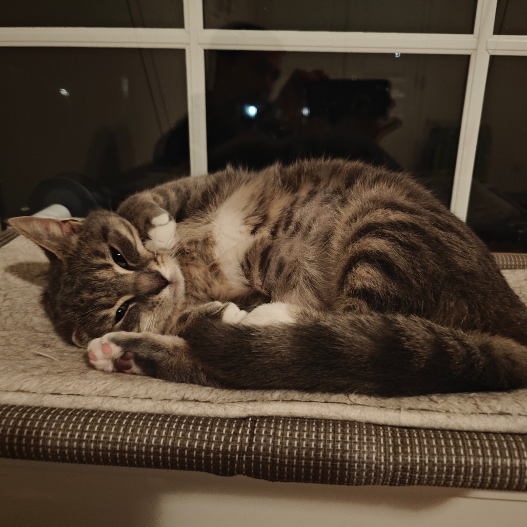 Big Grumpy Socks