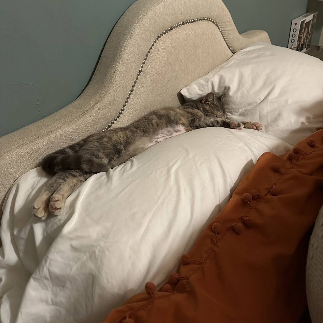 Gandalf the Great