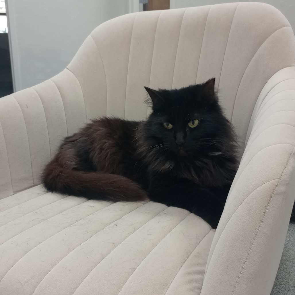 Josie
