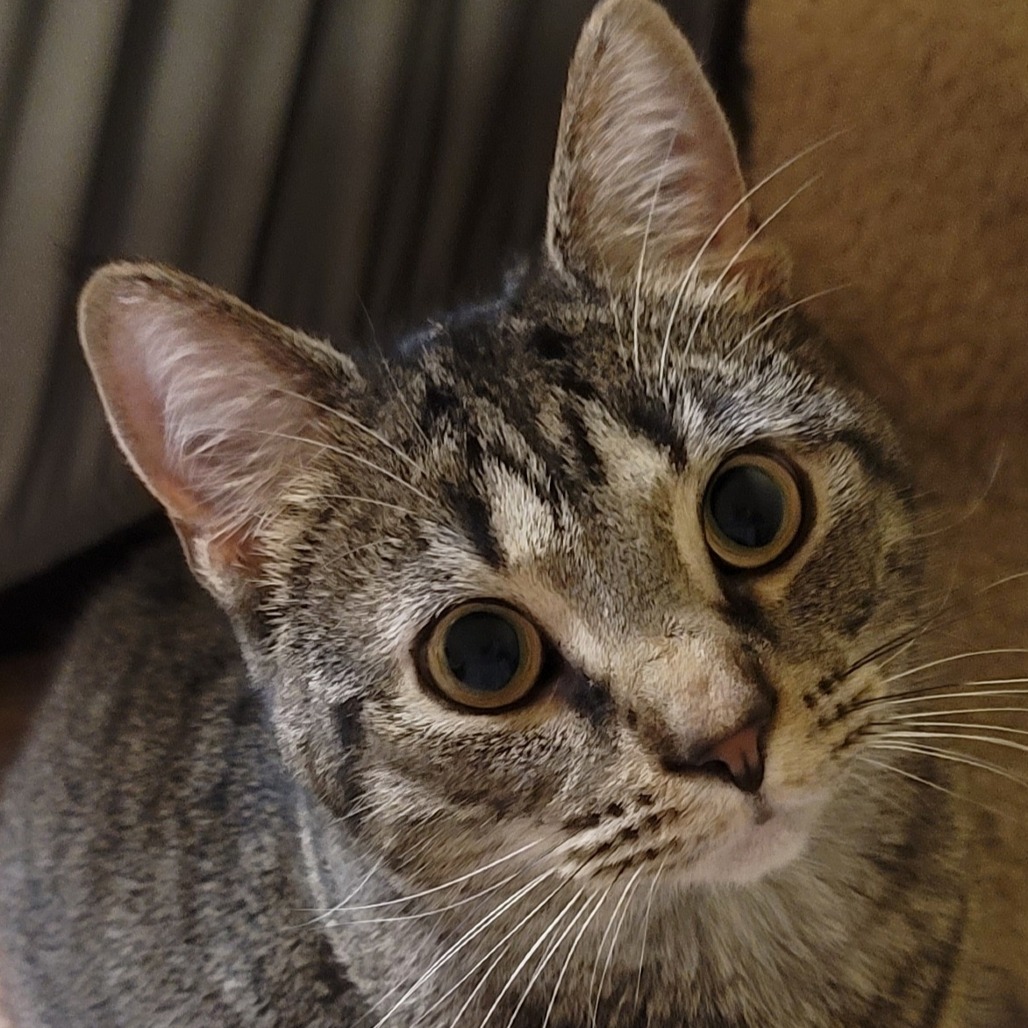 Avery