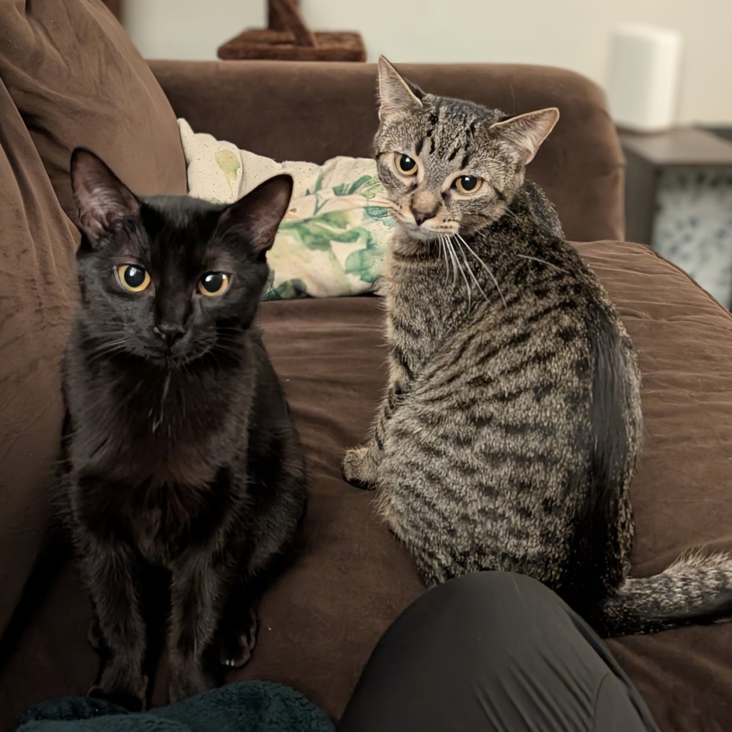 Oakland & Orlando - We're a bonded pair!