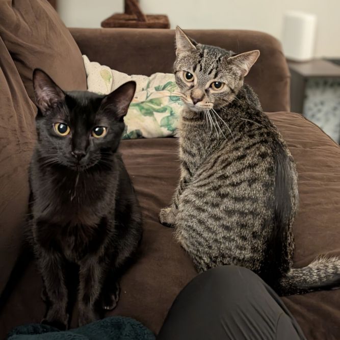 Oakland & Orlando - We're a bonded pair!