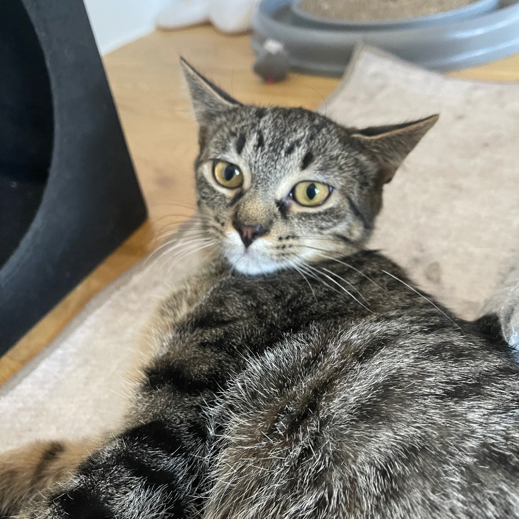 Oakland & Orlando - We're a bonded pair!