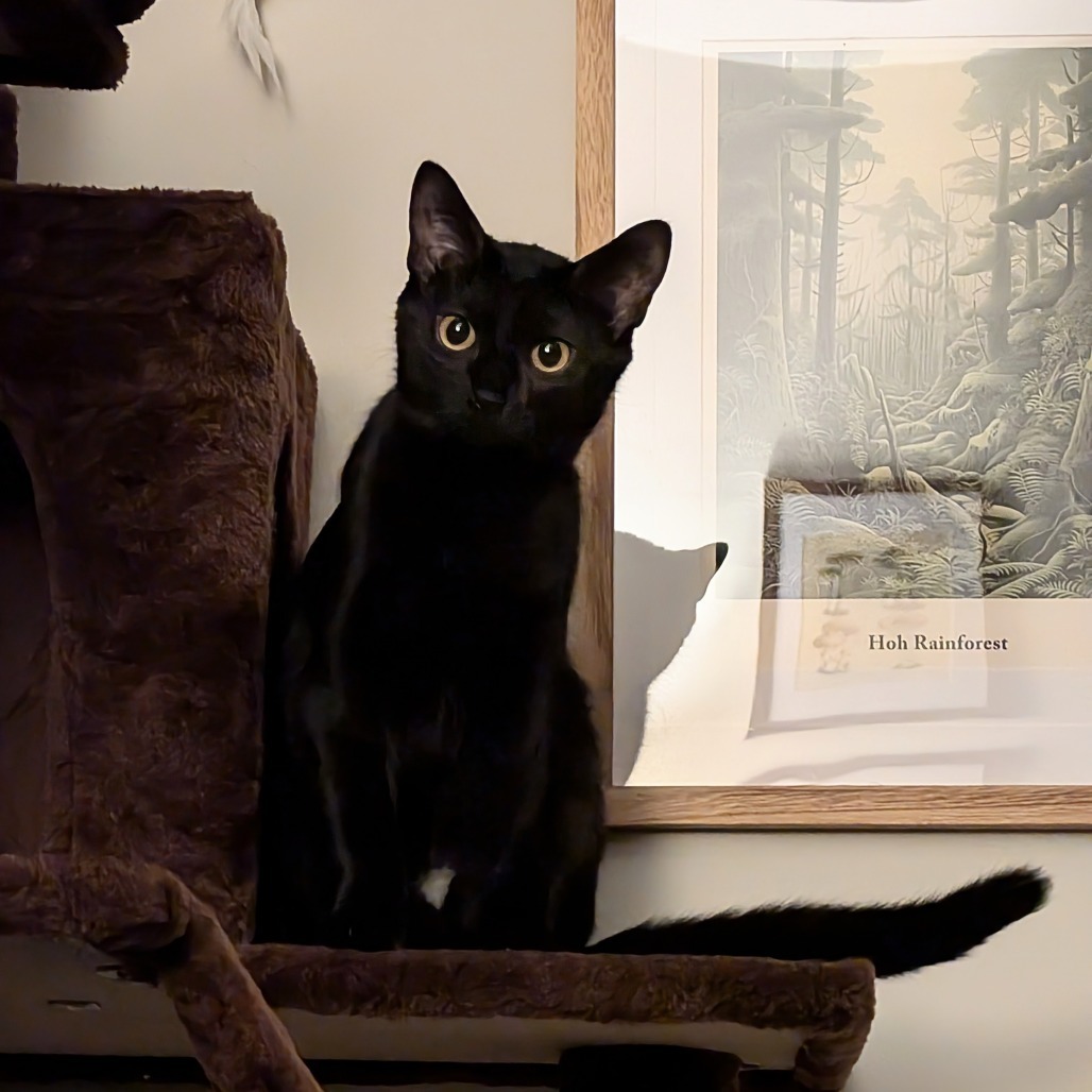 Oakland & Orlando - We're a bonded pair!