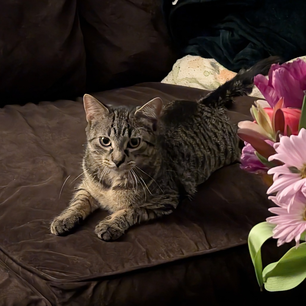 Oakland & Orlando - We're a bonded pair!