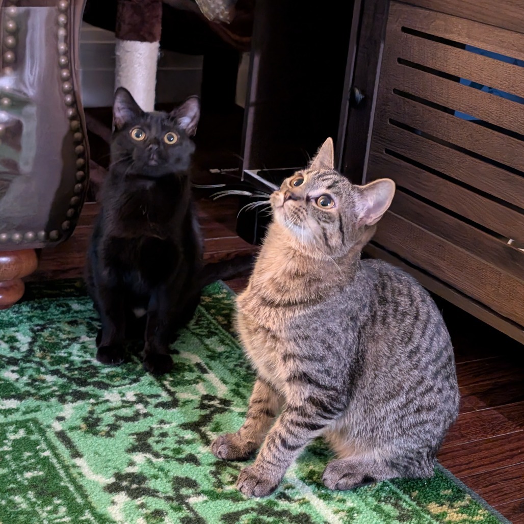 Oakland & Orlando - We're a bonded pair!