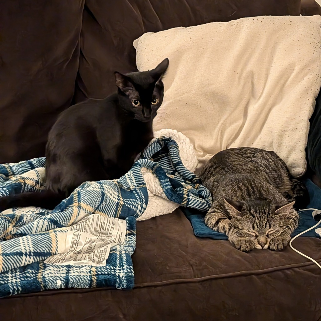 Oakland & Orlando - We're a bonded pair!