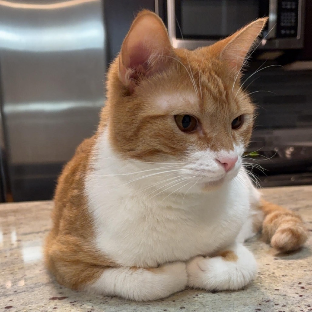 Tangerine