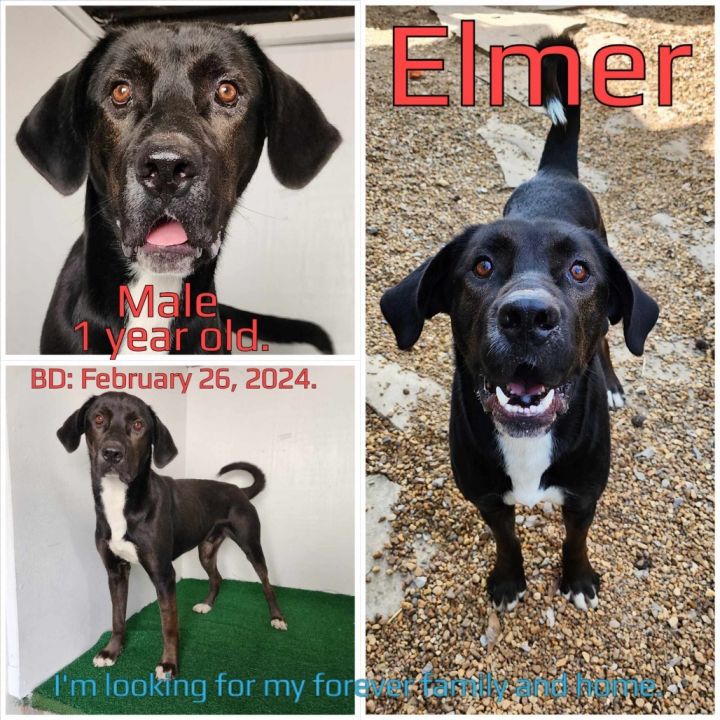 Elmer 3