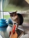 Mugsy photo 4
