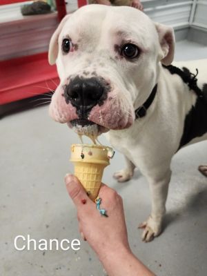 Chance