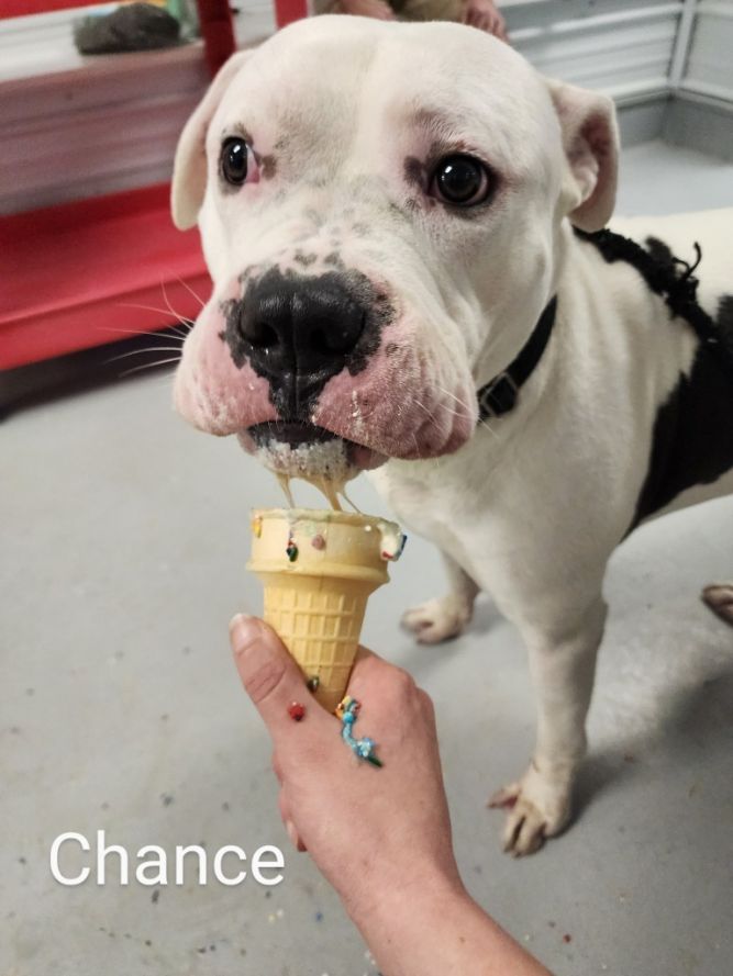 Chance