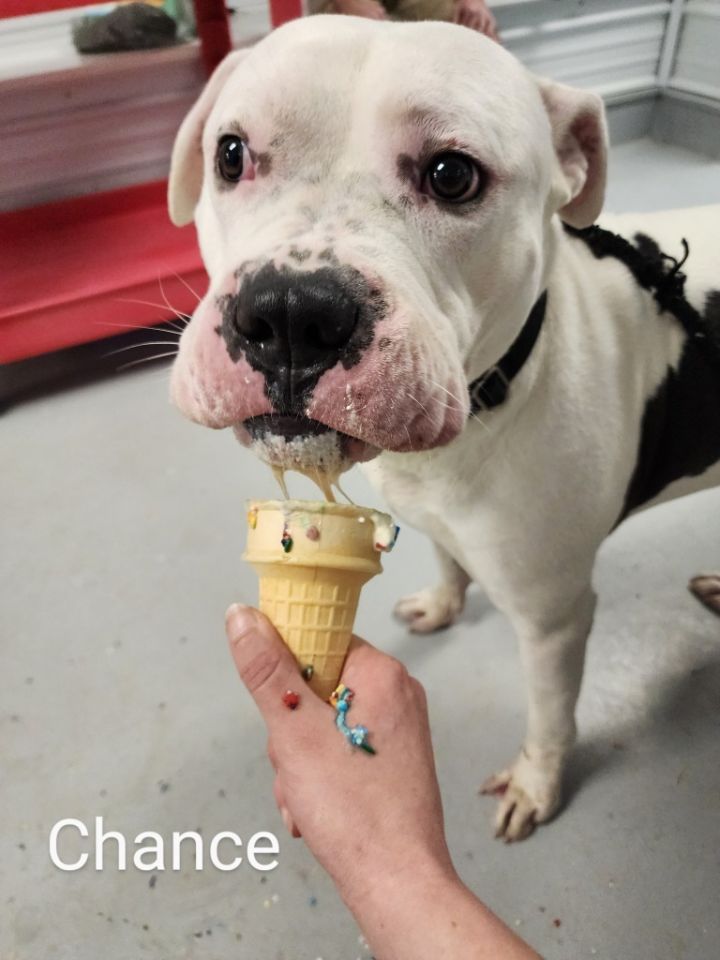 Chance 1