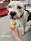 Chance photo 1