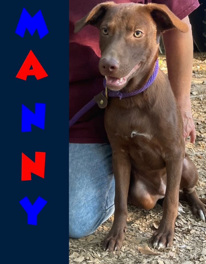 Manny 2