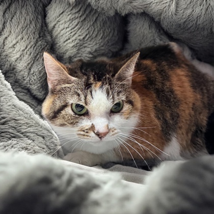 Snuggles 1