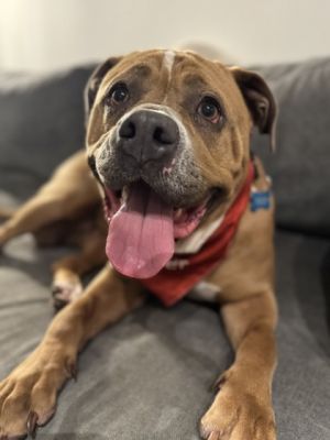 Come strike a pose with wrinkly faced MADONNA This material girl enjoys playing with toys and volu