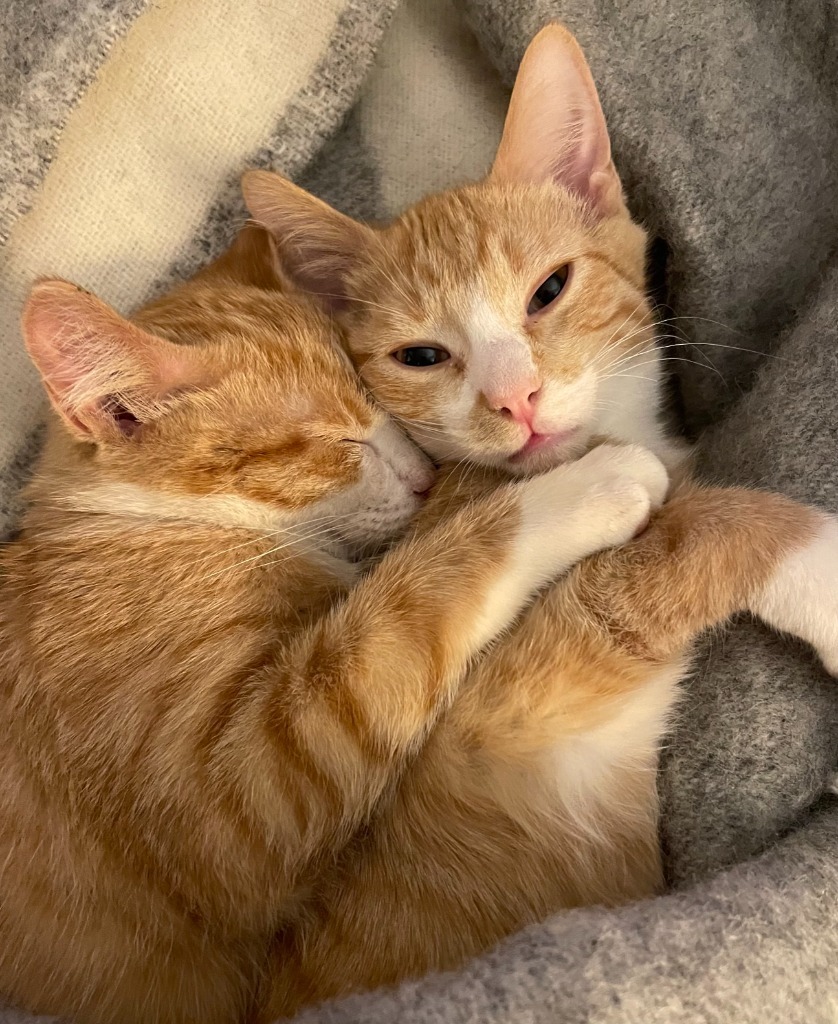 Peanut Butter / Scooter Magoo